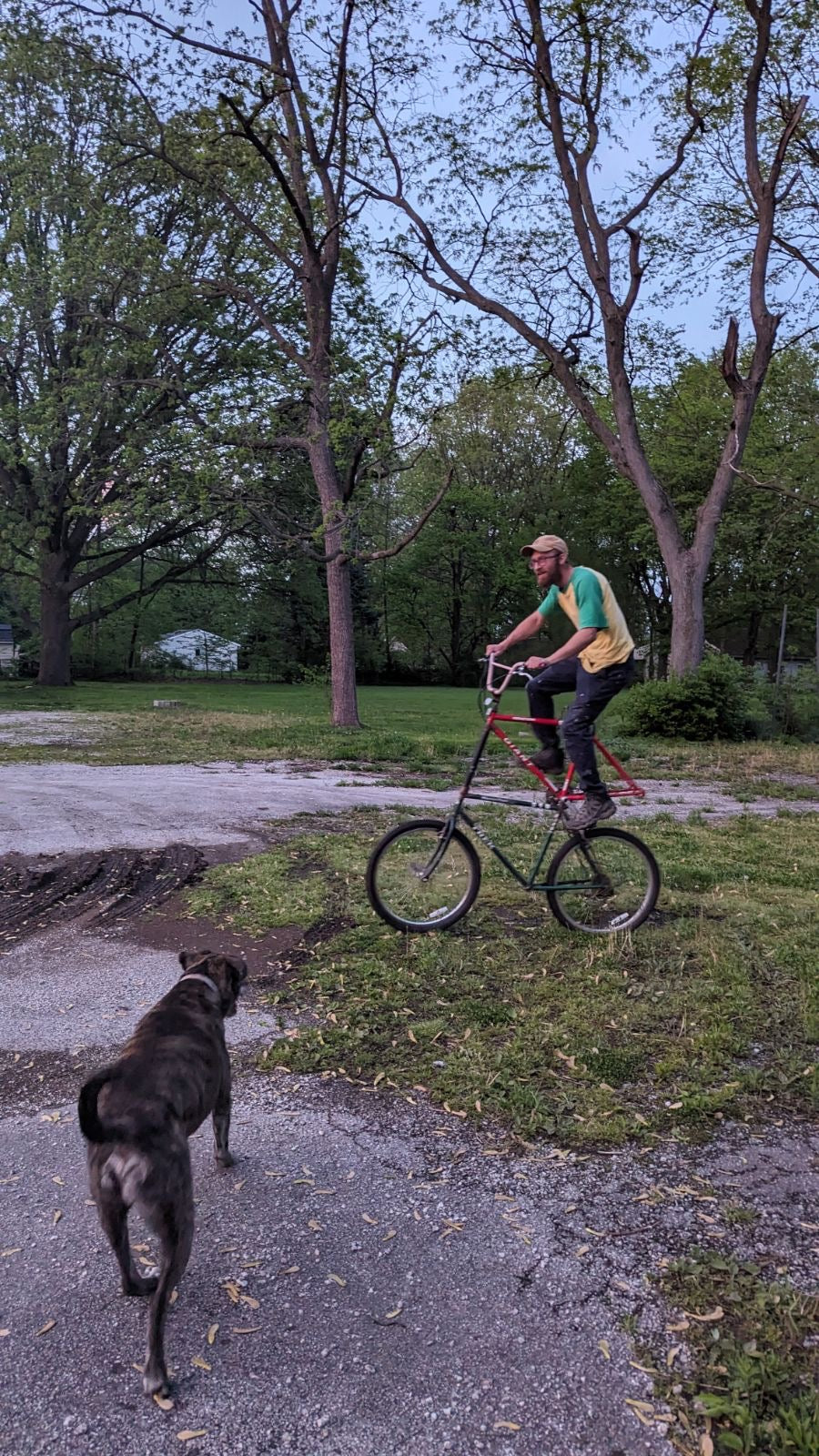 Riding my tall bike on a sunny day.